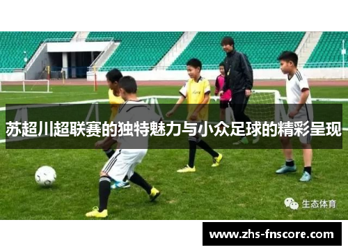 苏超川超联赛的独特魅力与小众足球的精彩呈现